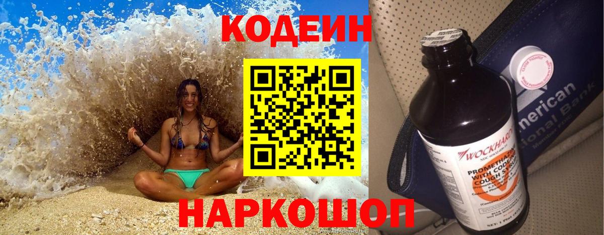 APVP Мичуринск
