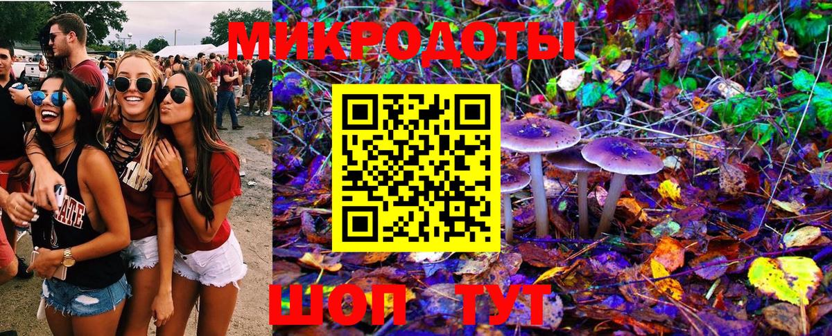 Мичуринск  Псилоцибиновые грибы GOLDEN TEACHER  Вход с VPN  Псилоцибиновые грибы Psilocybine cubensis 